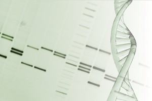 DNA methylation epigenetics 