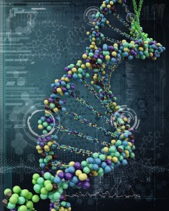 DNA nucleotides