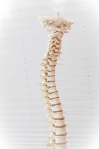scoliosis and osteopathy