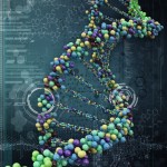 DNA nucleotides