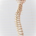 scoliosis and osteopathy